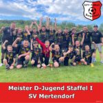 Der SV Mertendorf sichert sich den Staffelsieg in der D-Jugend Kreisliga I.