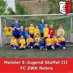 Der FC ZWK Nebra führt zum Saisonende die Staffel III der E-Jugend an.