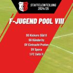 F-Jugend Kinderfußball Pool VIII